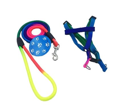 CORREA C/ARNES PEQUENO 0.6 RED MULTICOLOR - 1