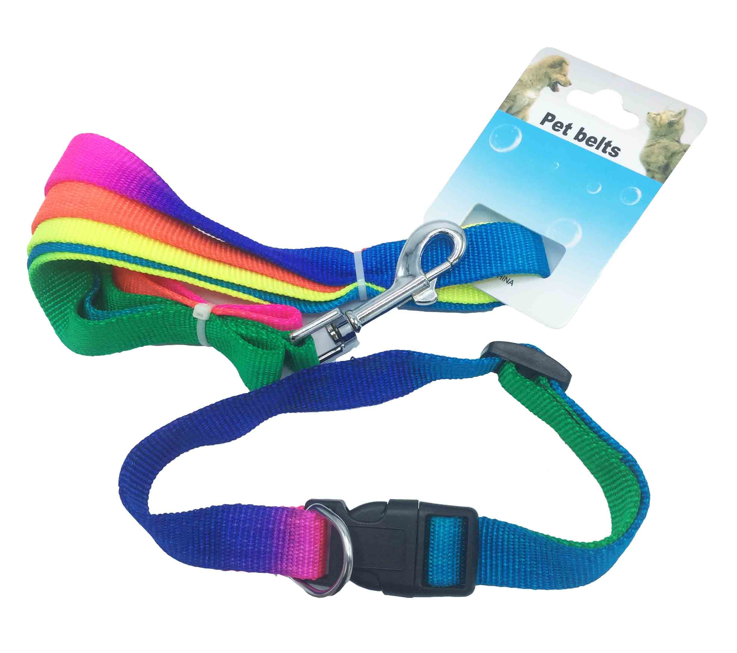 CORREA C/COLLAR EXTRA GRANDE PLANO 2,5 MULTICO - 1
