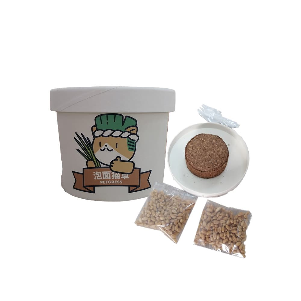 FUENTE BLANCA P/HIERVA PLASTICA GATO - 1