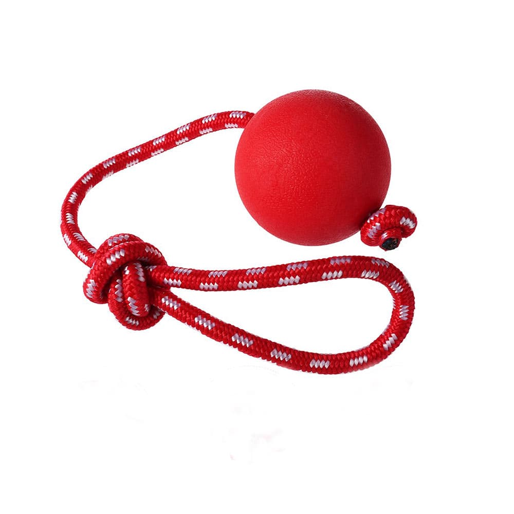PELOTA ROJA CAUCHO  L  C/CUERDA MASCOTA - 1