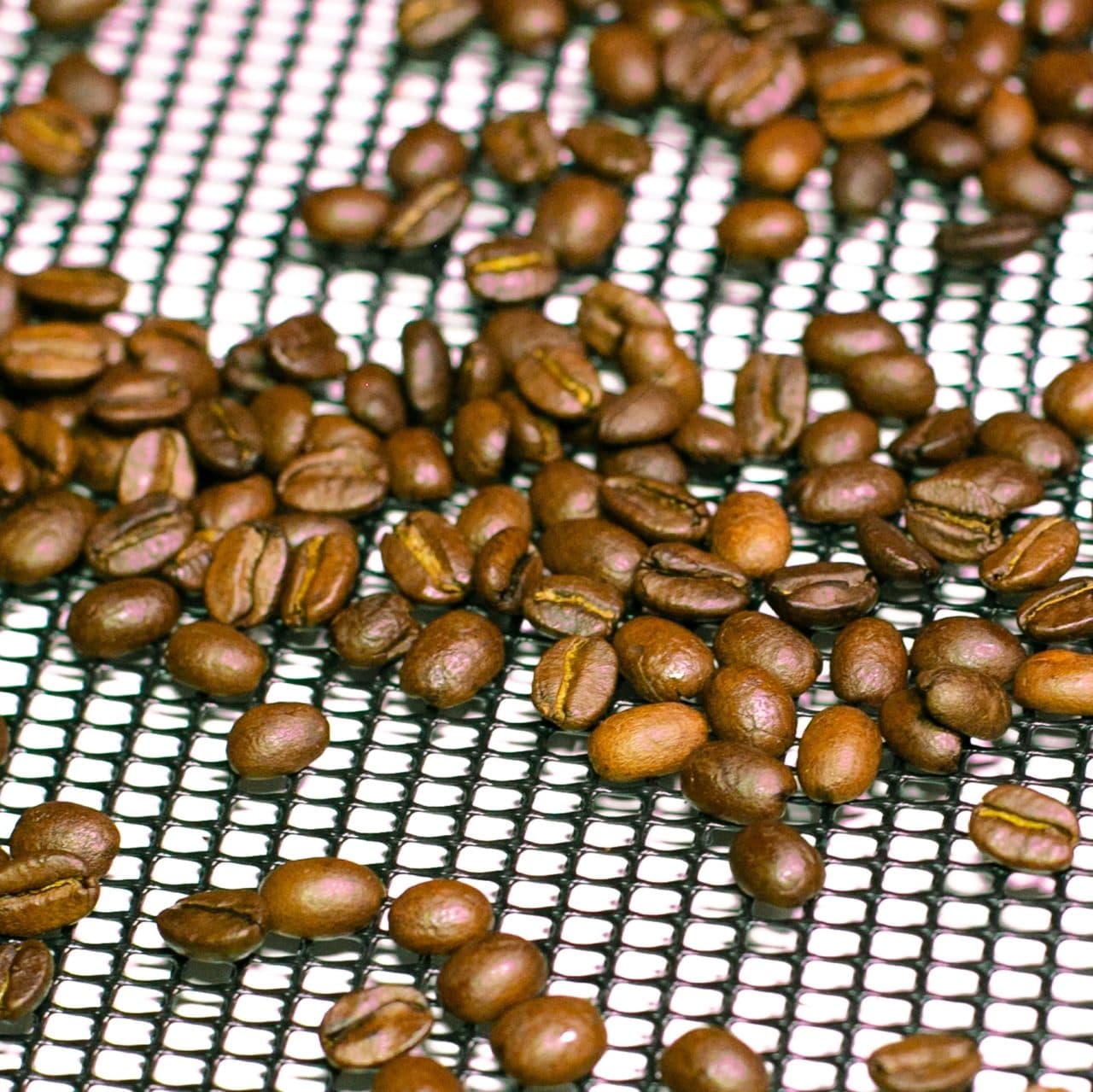 MALLA PLAST. CAFETERA 1.50mtX30mt 3.50mmX450mm (1U - 1
