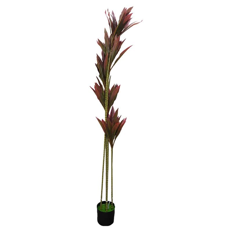 IMP PLANTA ARTIFICIAL CORDYLINE FRUTICOSA 180 - 1