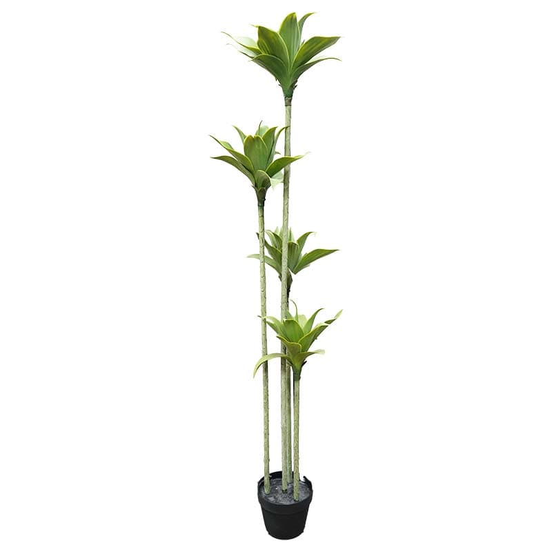 IMP PLANTA ARTIFICIAL DRACAENA GOLDEN 155 CM - 1
