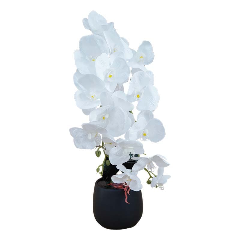 IMP FLOR ARTIF. ORQUIDEA BLANC. 30x60cm - 1