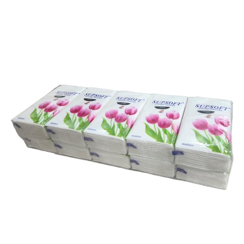 HO PANUELO DESECHABLE BL PQX10UN 20*20cm 3CAPA - 1