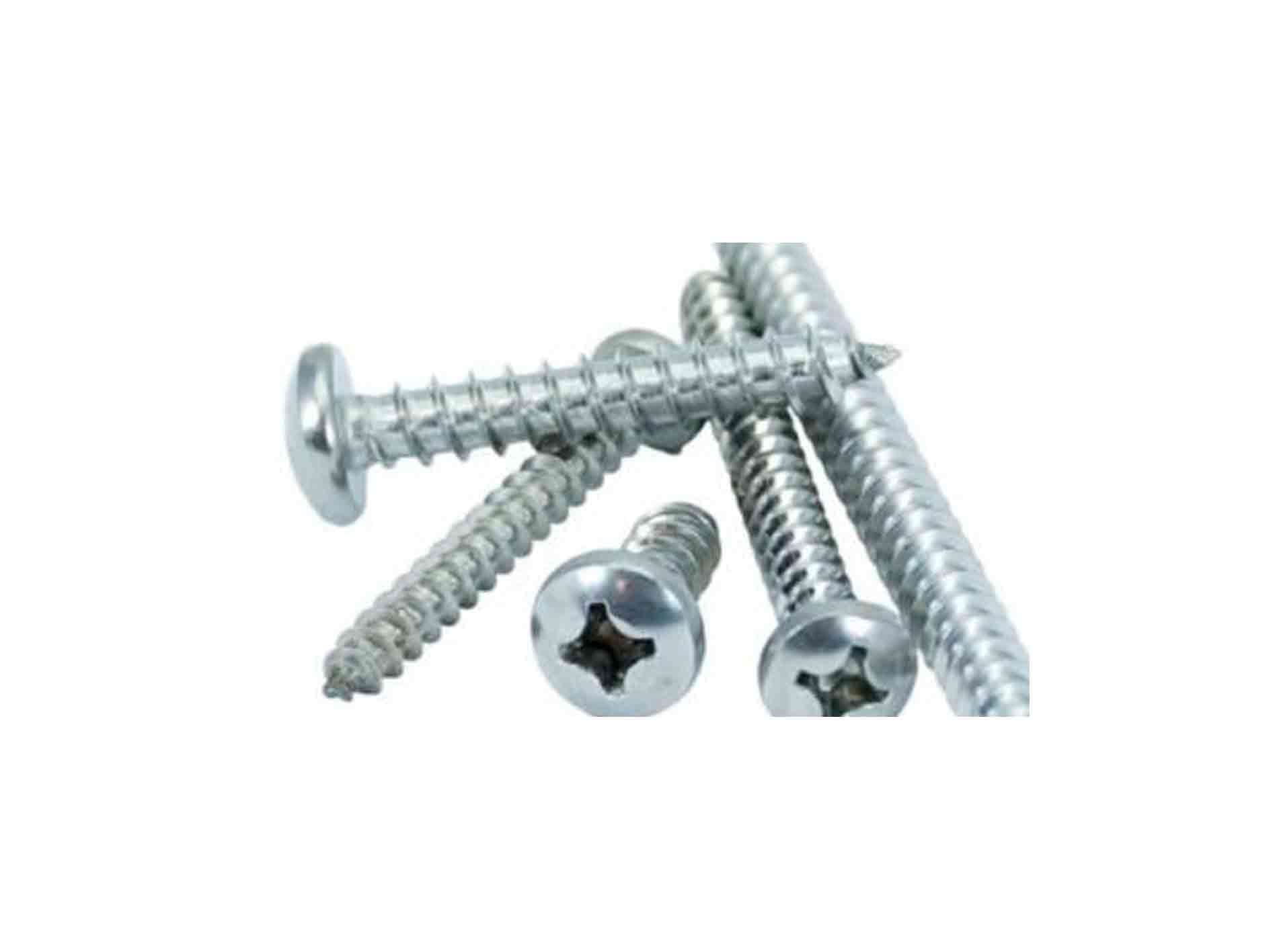 TORNILLO T/PATO NQ C/REDON 10X1 (100U) - 1
